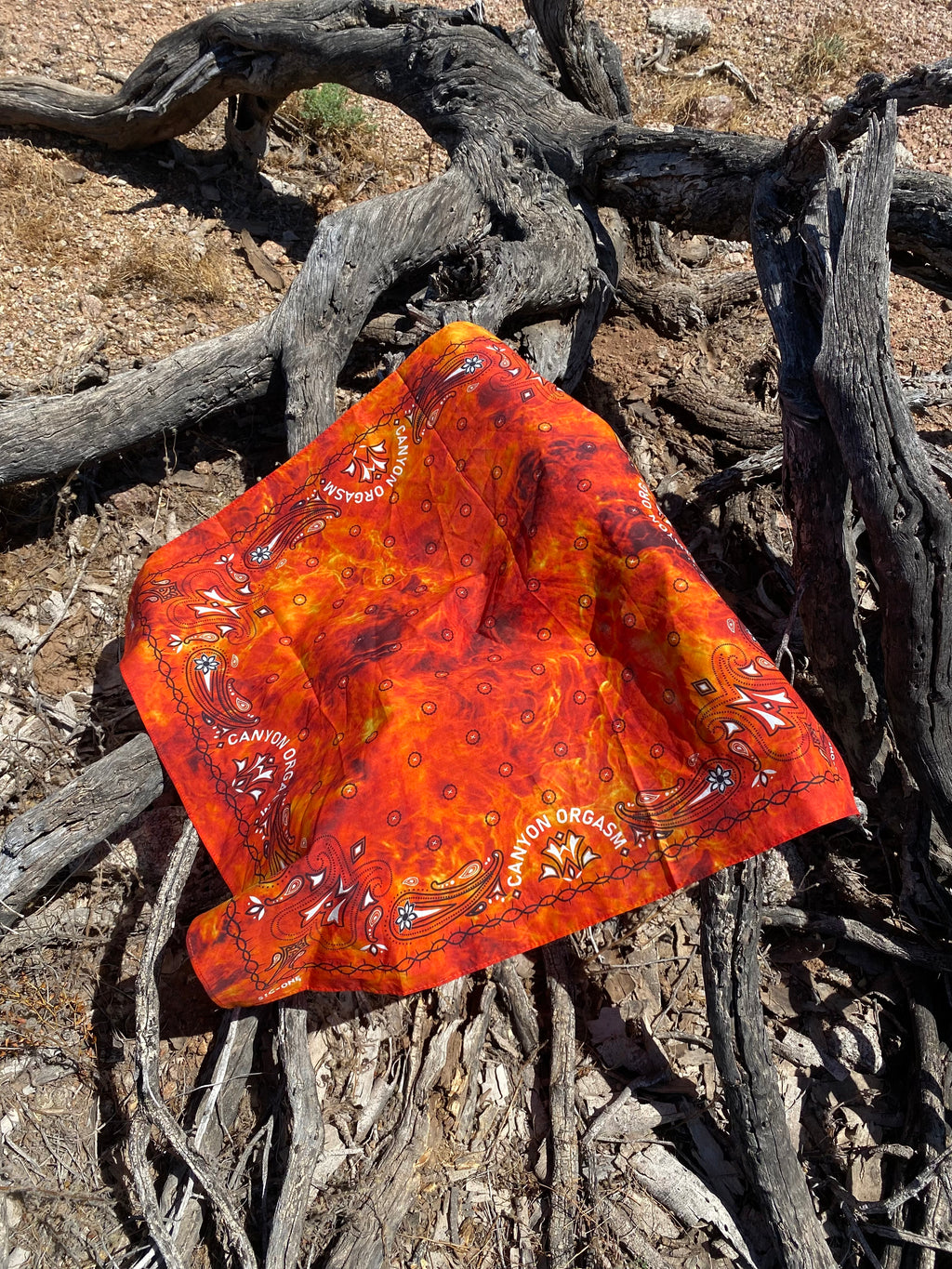 Wild Fire Gang Bandana