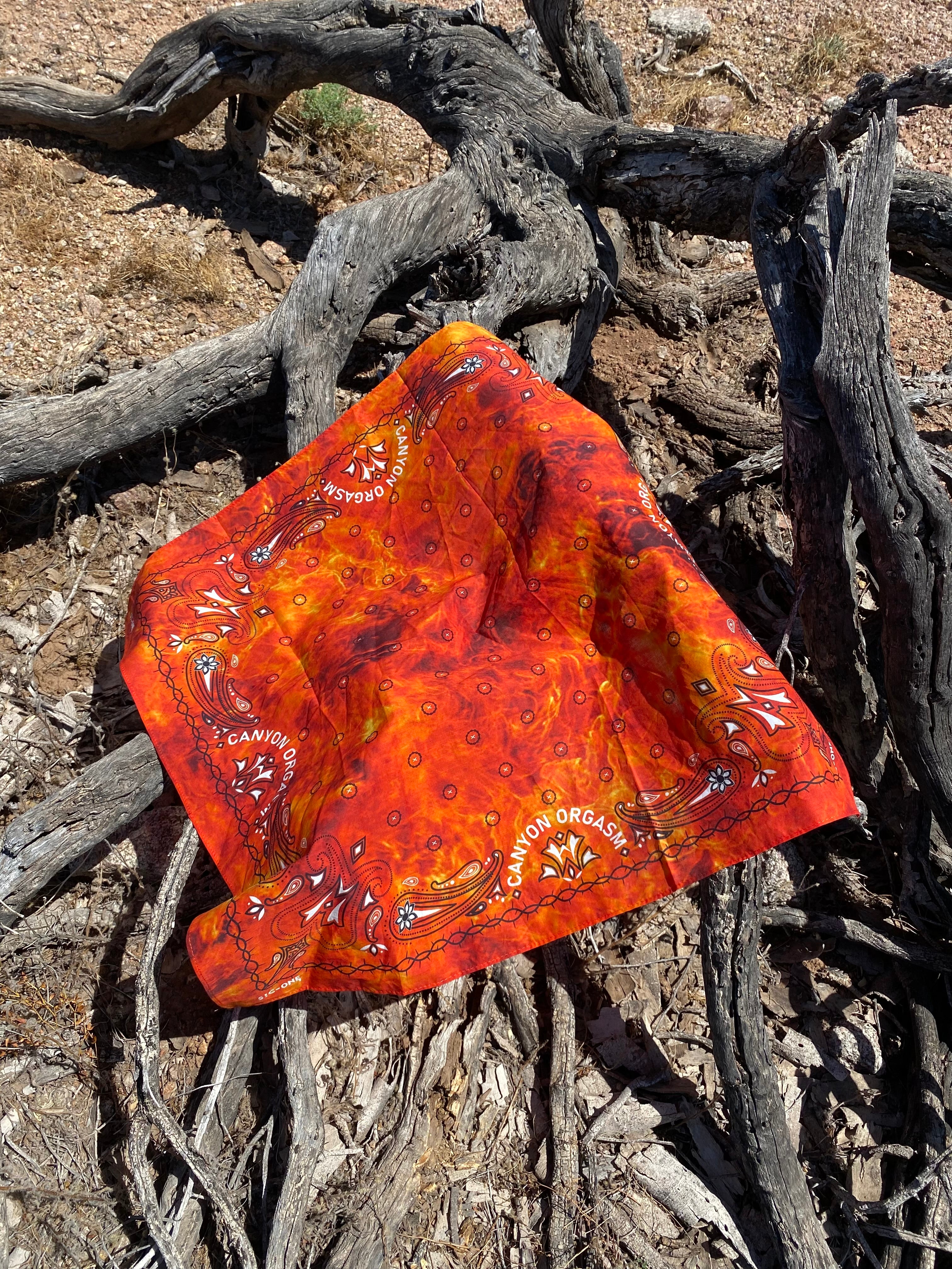 Wild Fire Gang Bandana