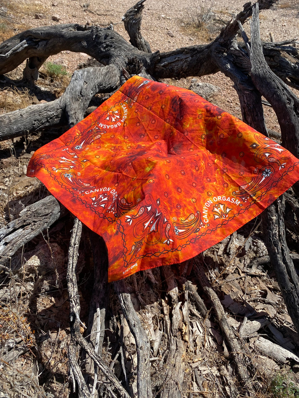 Wild Fire Gang Bandana