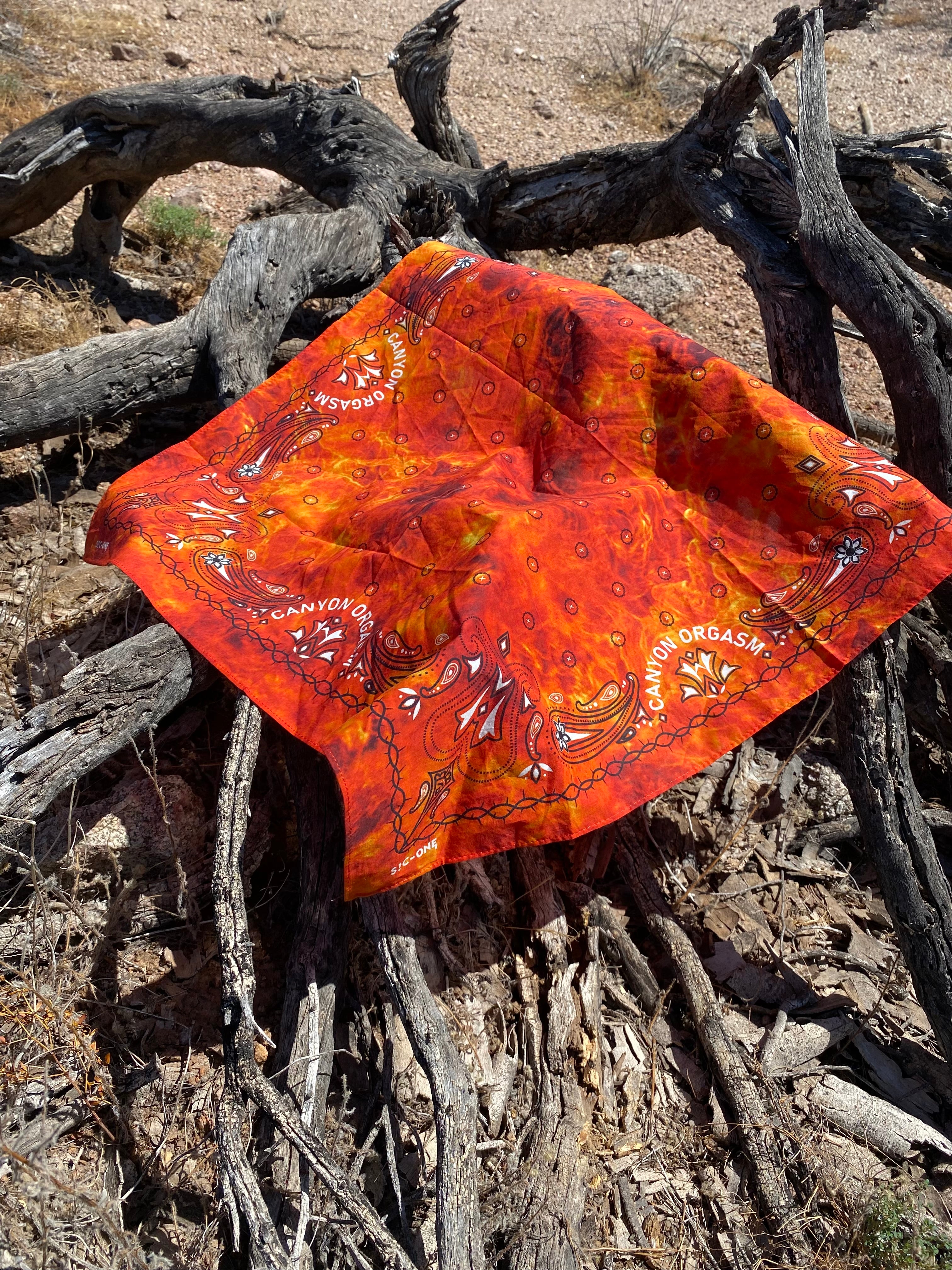 Wild Fire Gang Bandana
