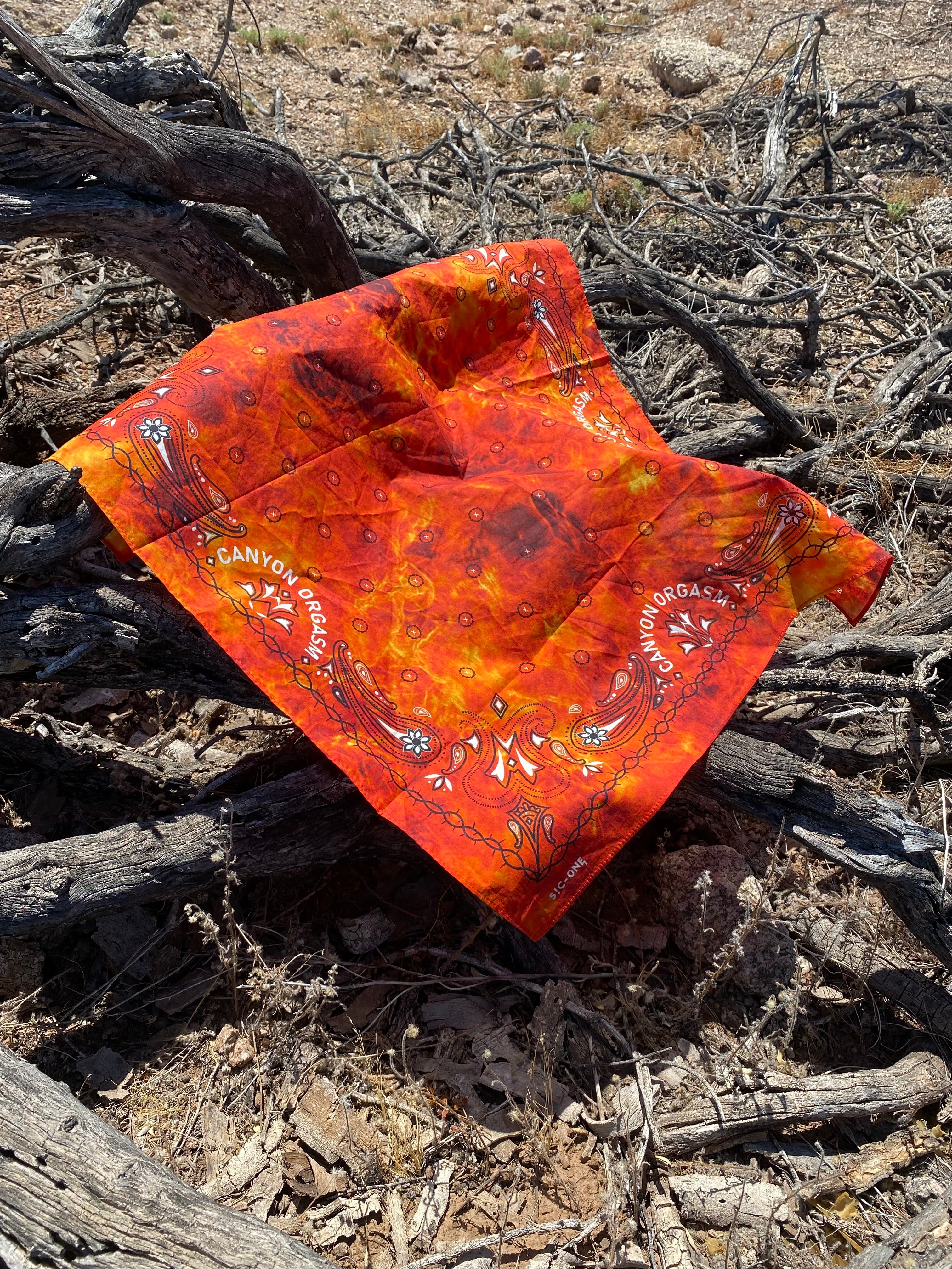 Wild Fire Gang Bandana