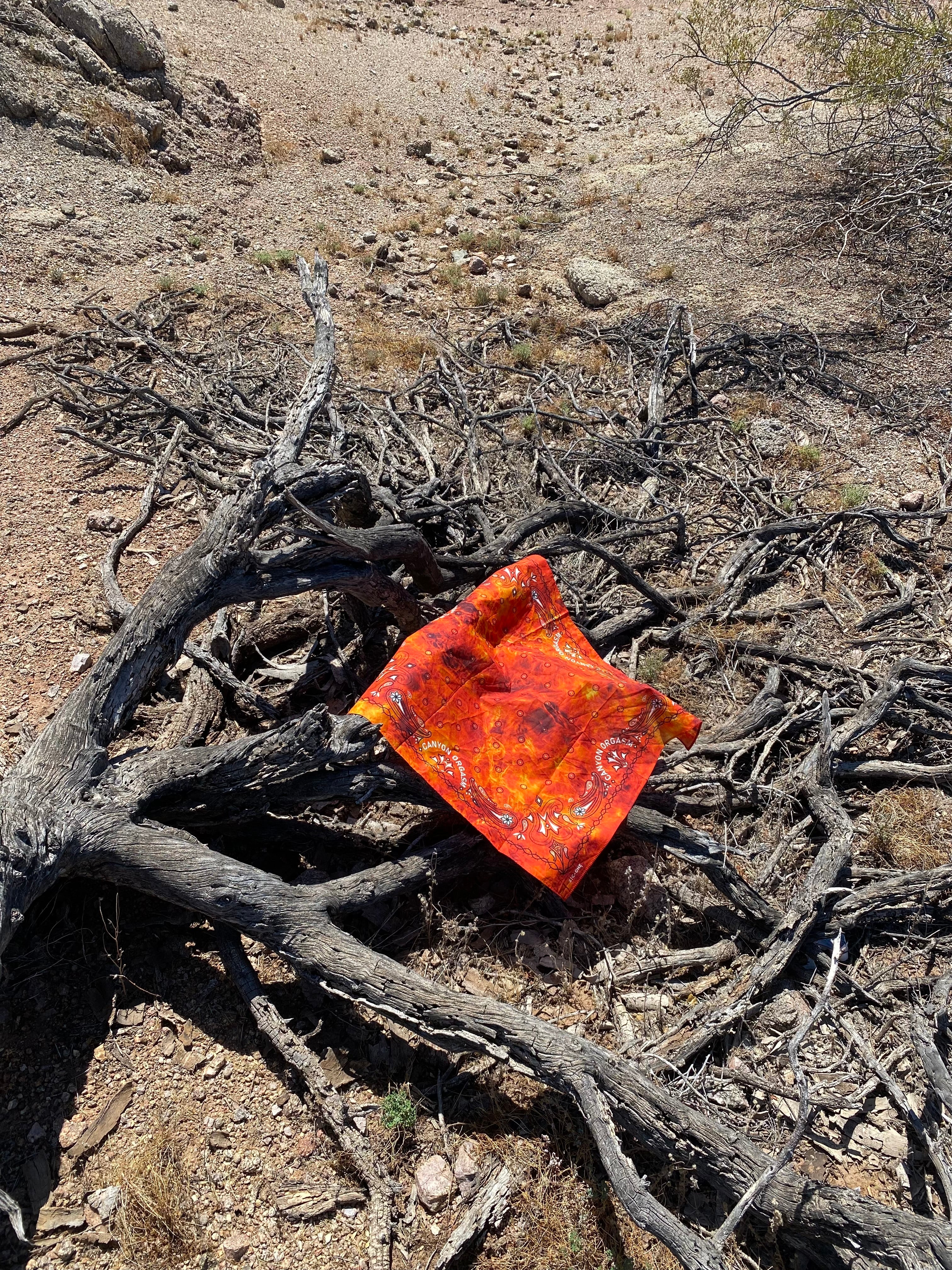 Wild Fire Gang Bandana