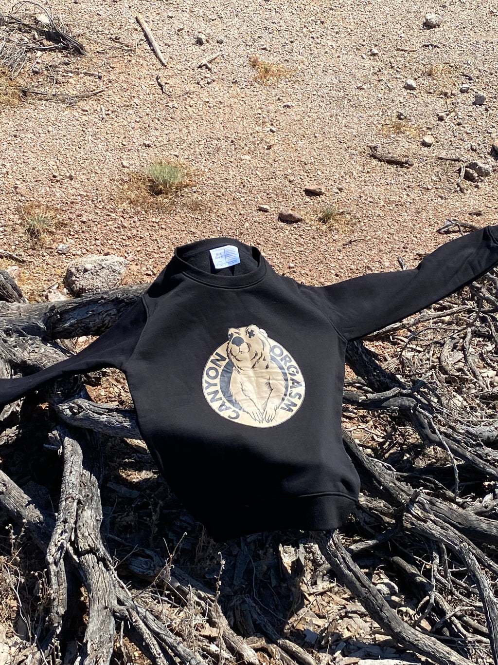 C.O Mascot Crewneck