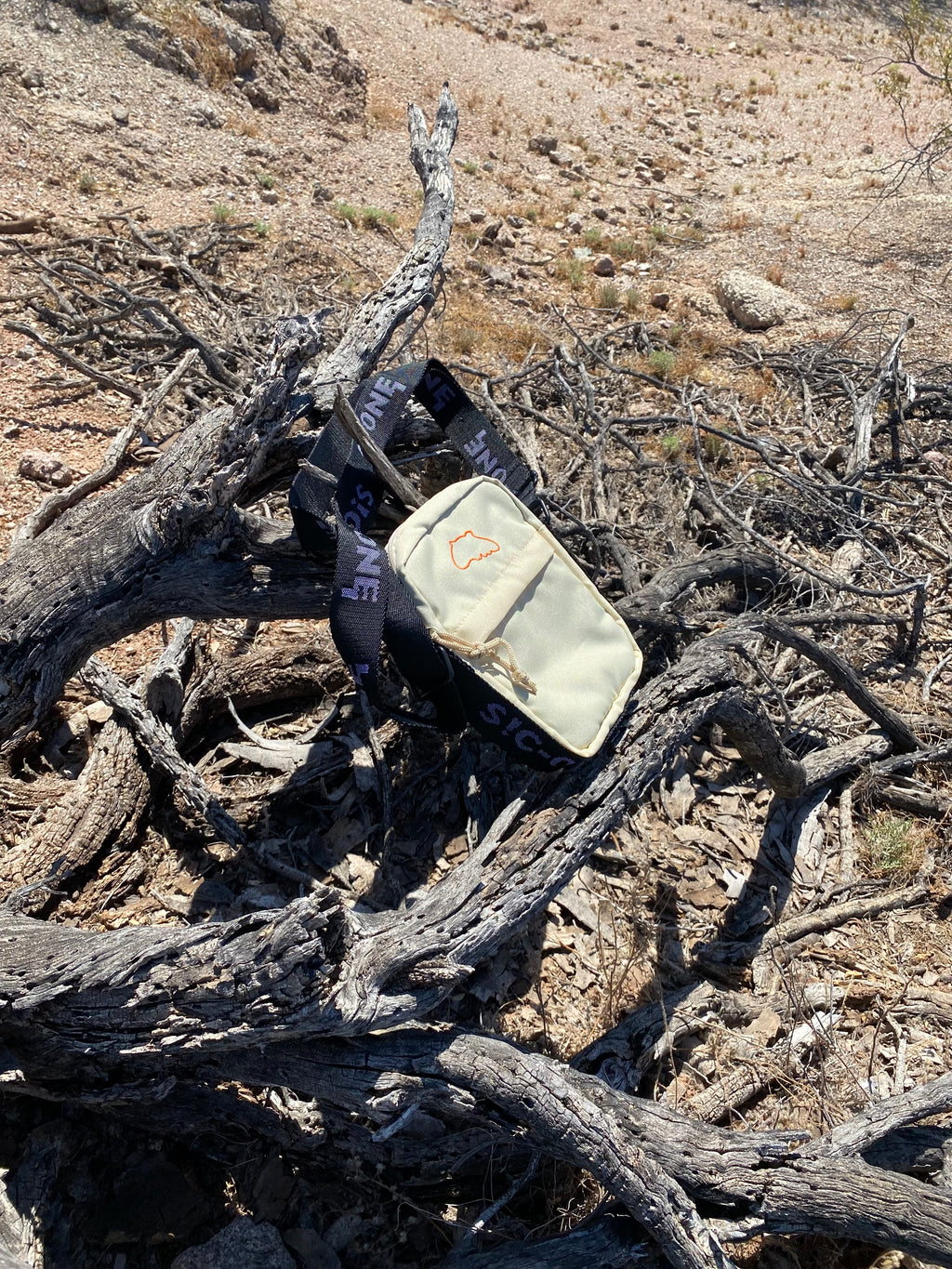 Spontaneous Combustion Bag