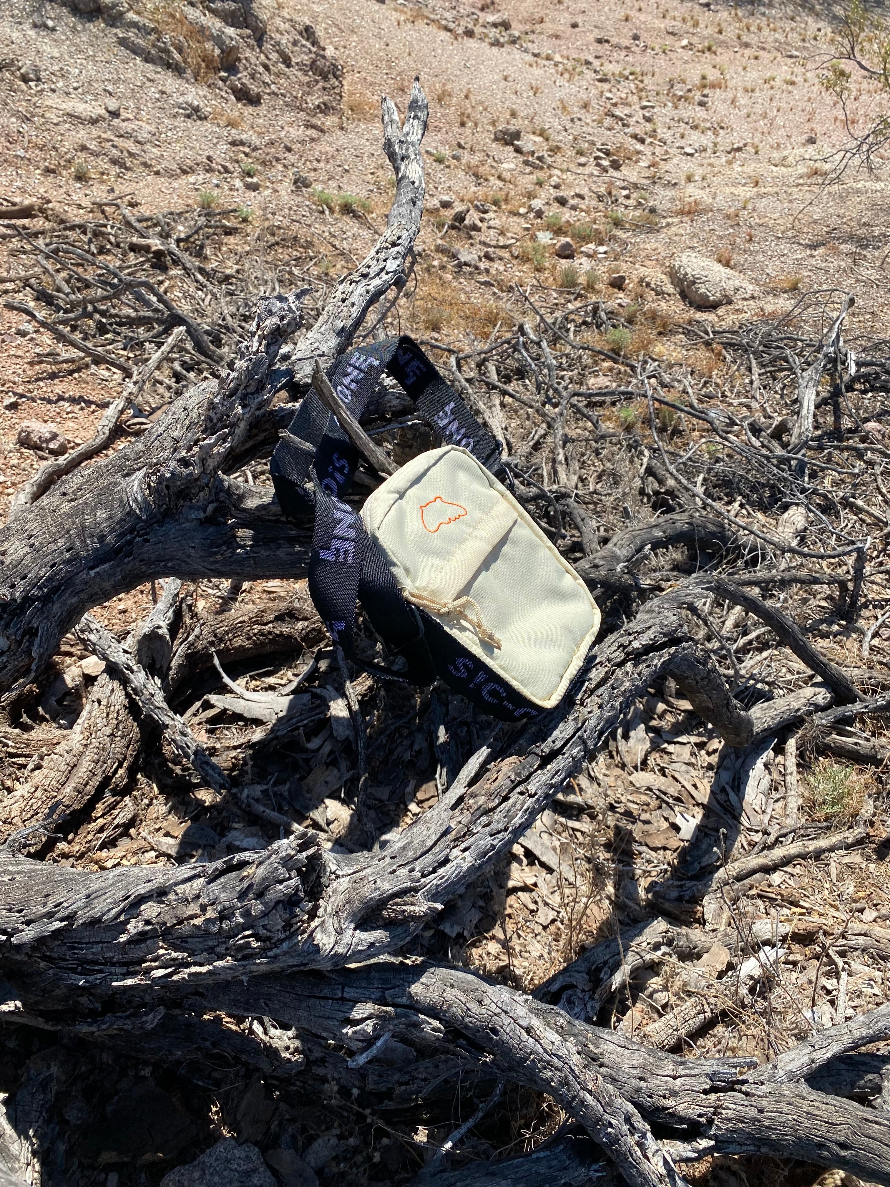 Spontaneous Combustion Bag