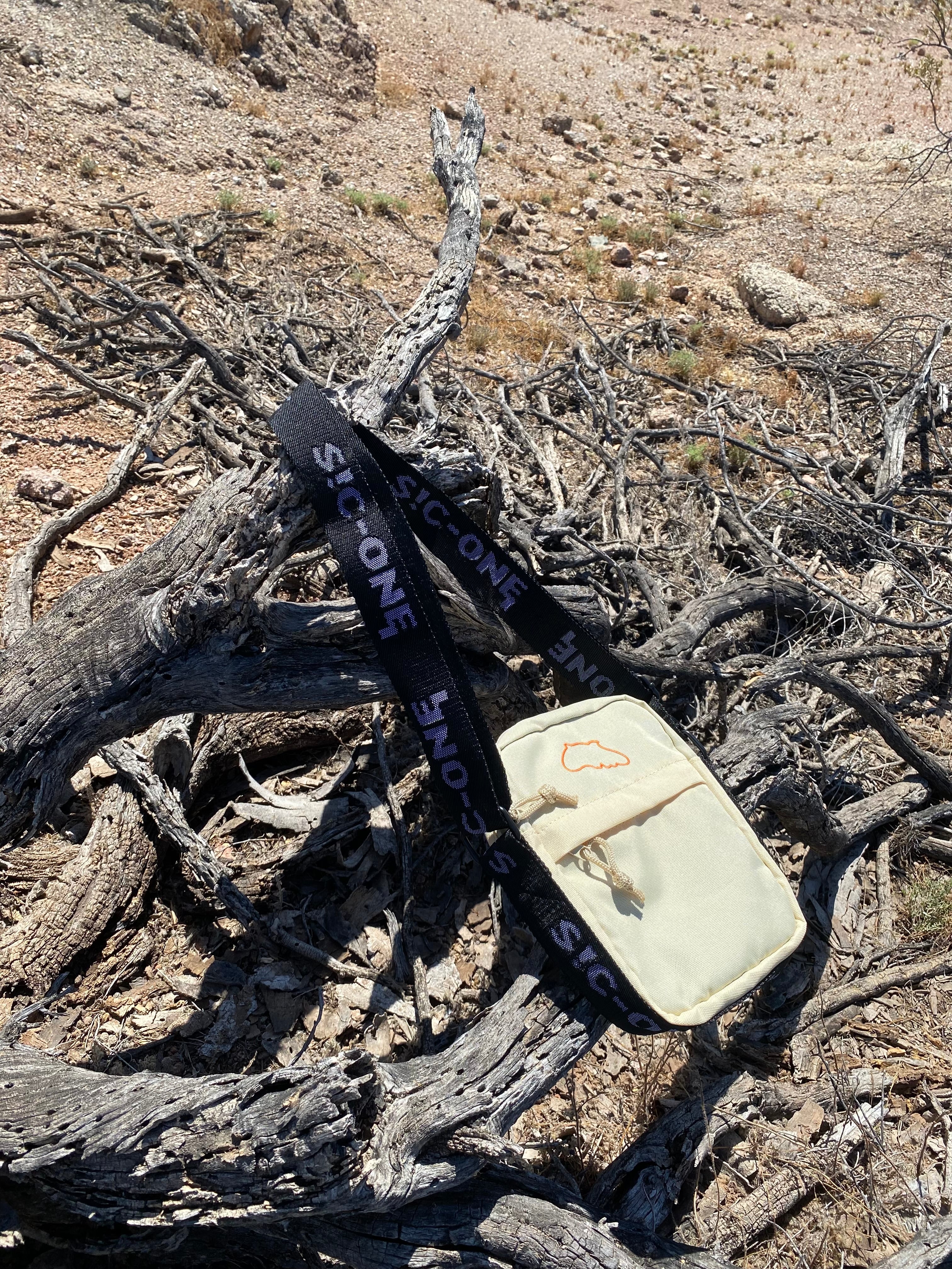 Spontaneous Combustion Bag