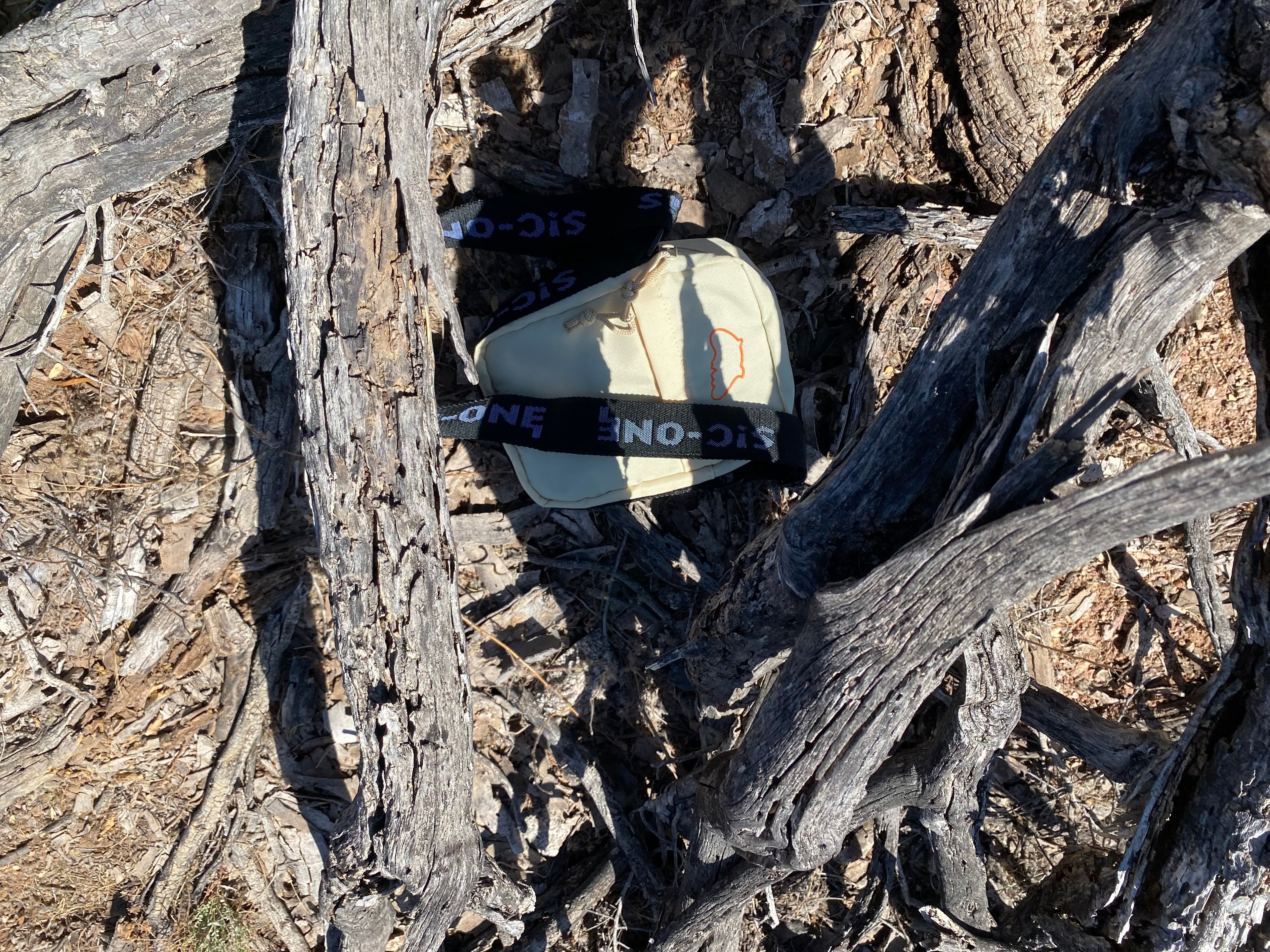 Spontaneous Combustion Bag