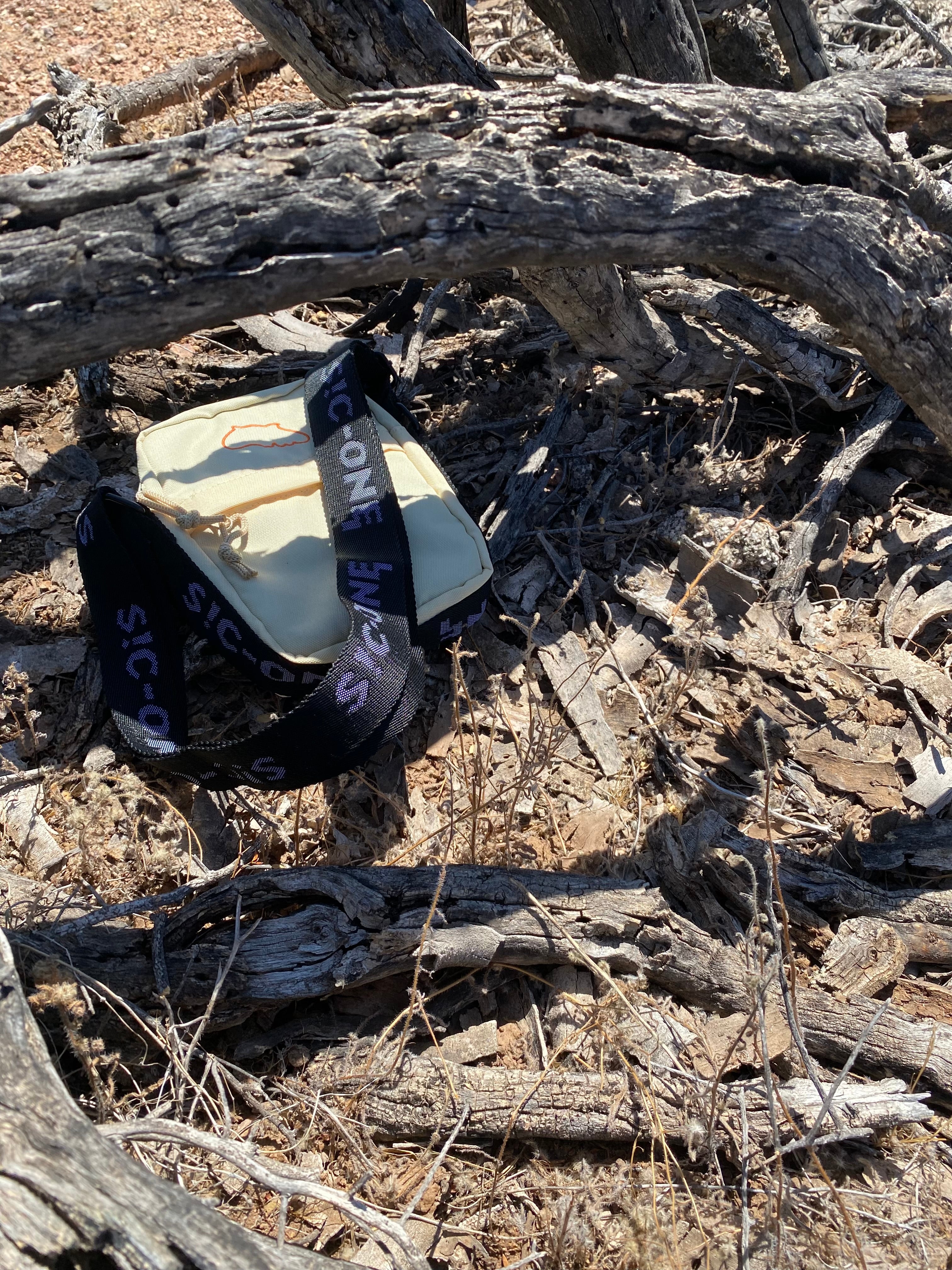 Spontaneous Combustion Bag