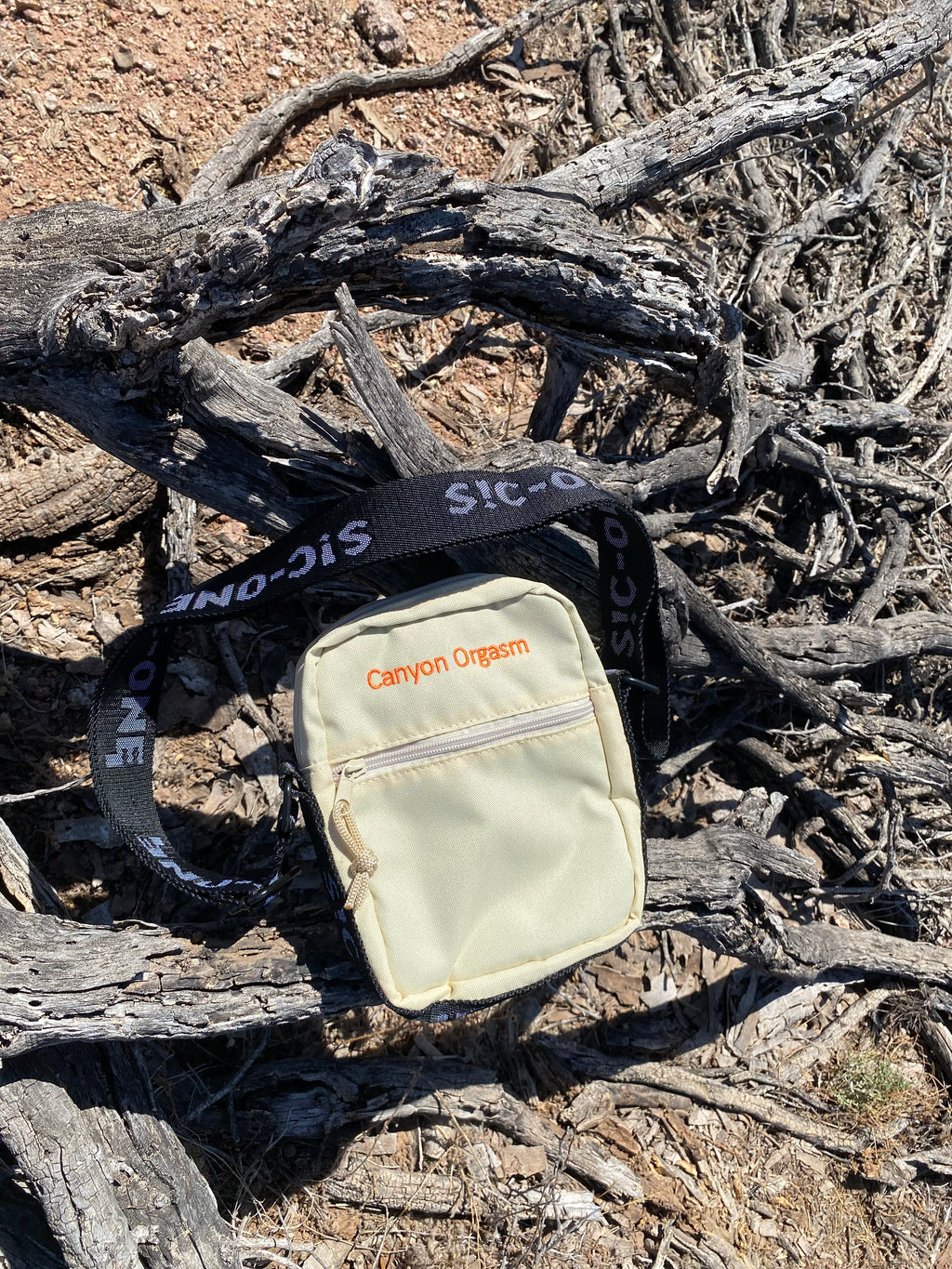Spontaneous Combustion Bag