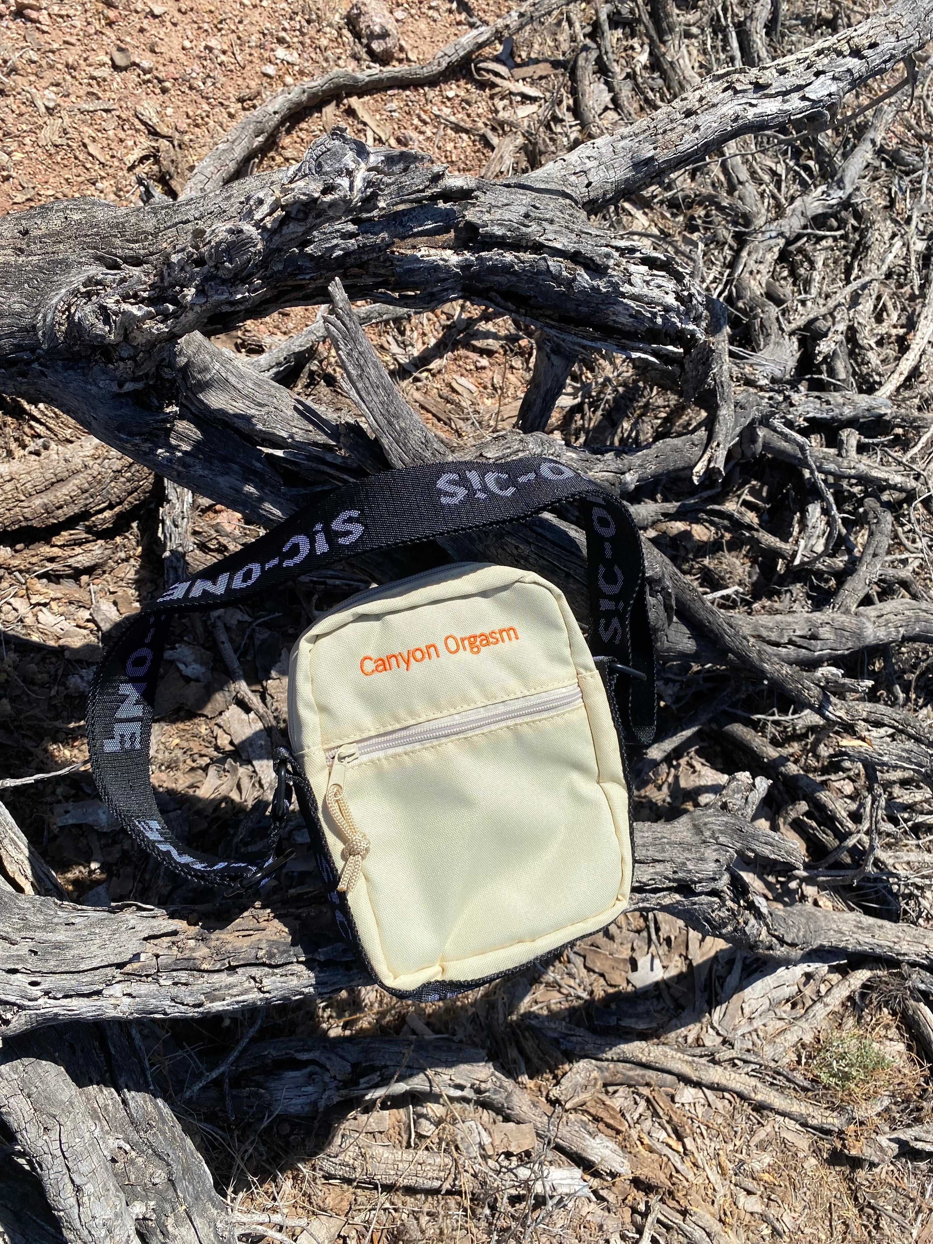 Spontaneous Combustion Bag