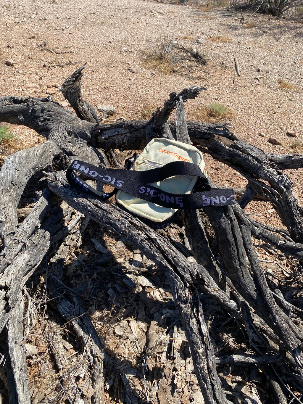 Spontaneous Combustion Bag