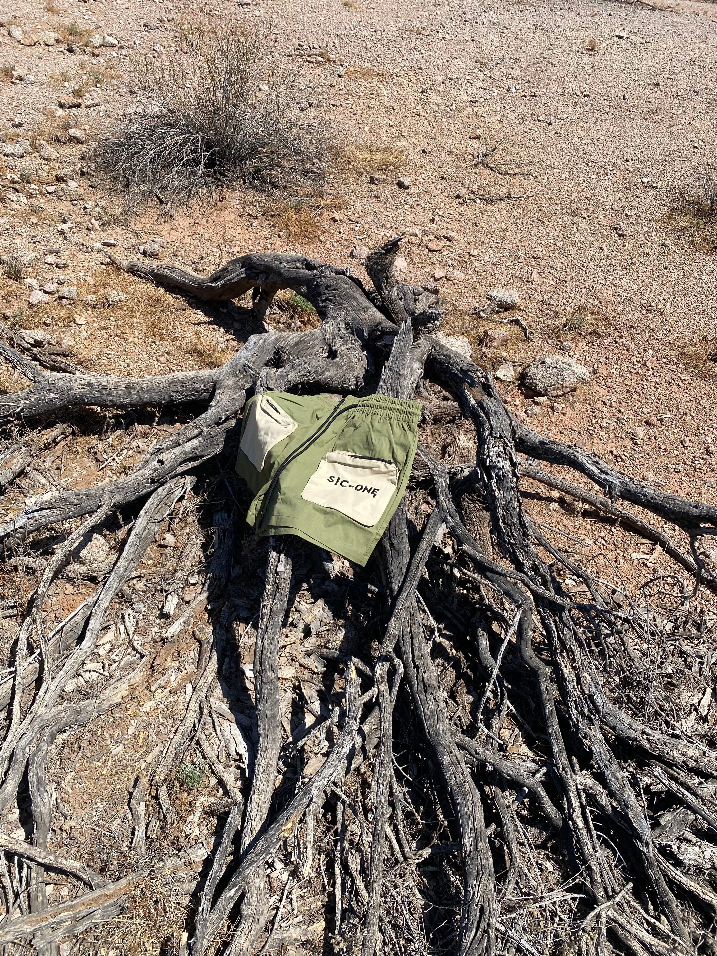 Canyon Suviva Shorts (W)