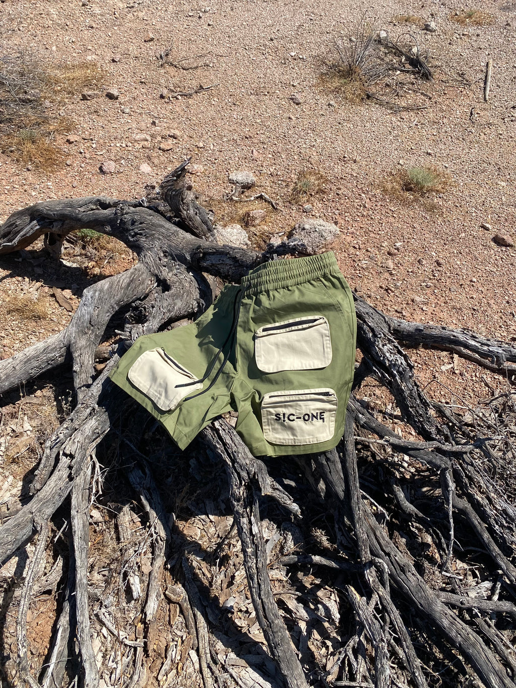 Canyon Surviva Shorts (M)
