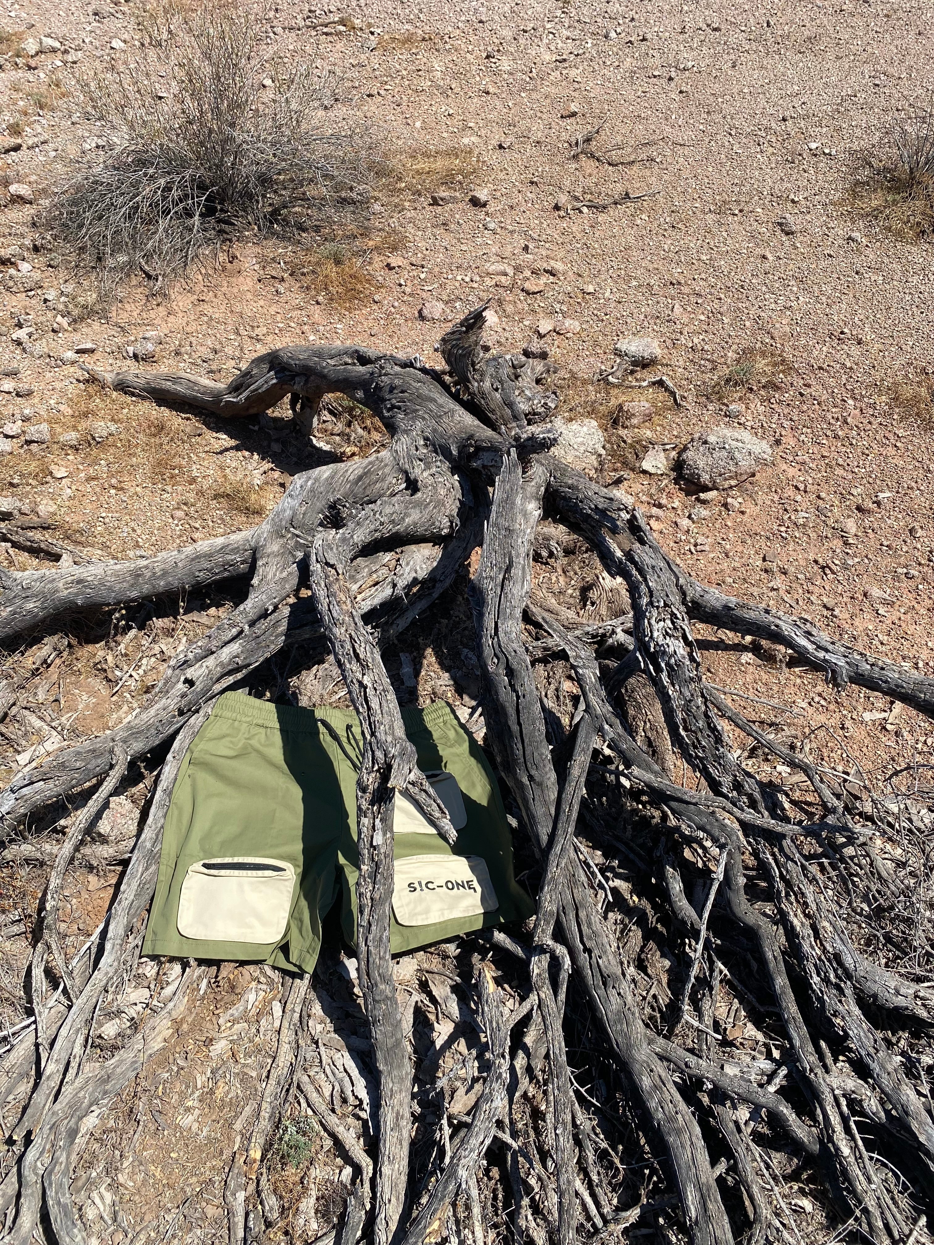 Canyon Surviva Shorts (M)